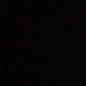 Meet your Posher, Dalton